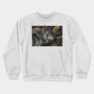 Timber Wolf Crewneck Sweatshirt